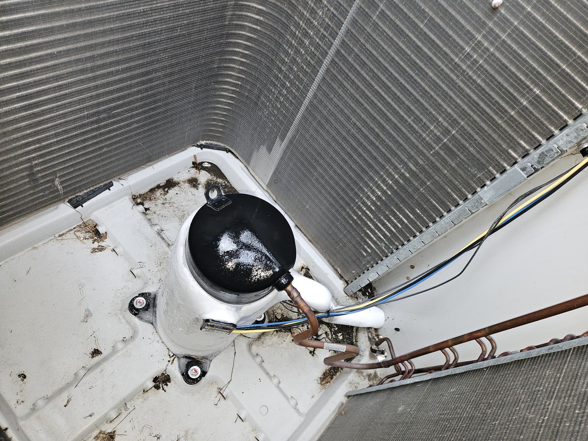 Refrigerator condenser coil area after cleaning
